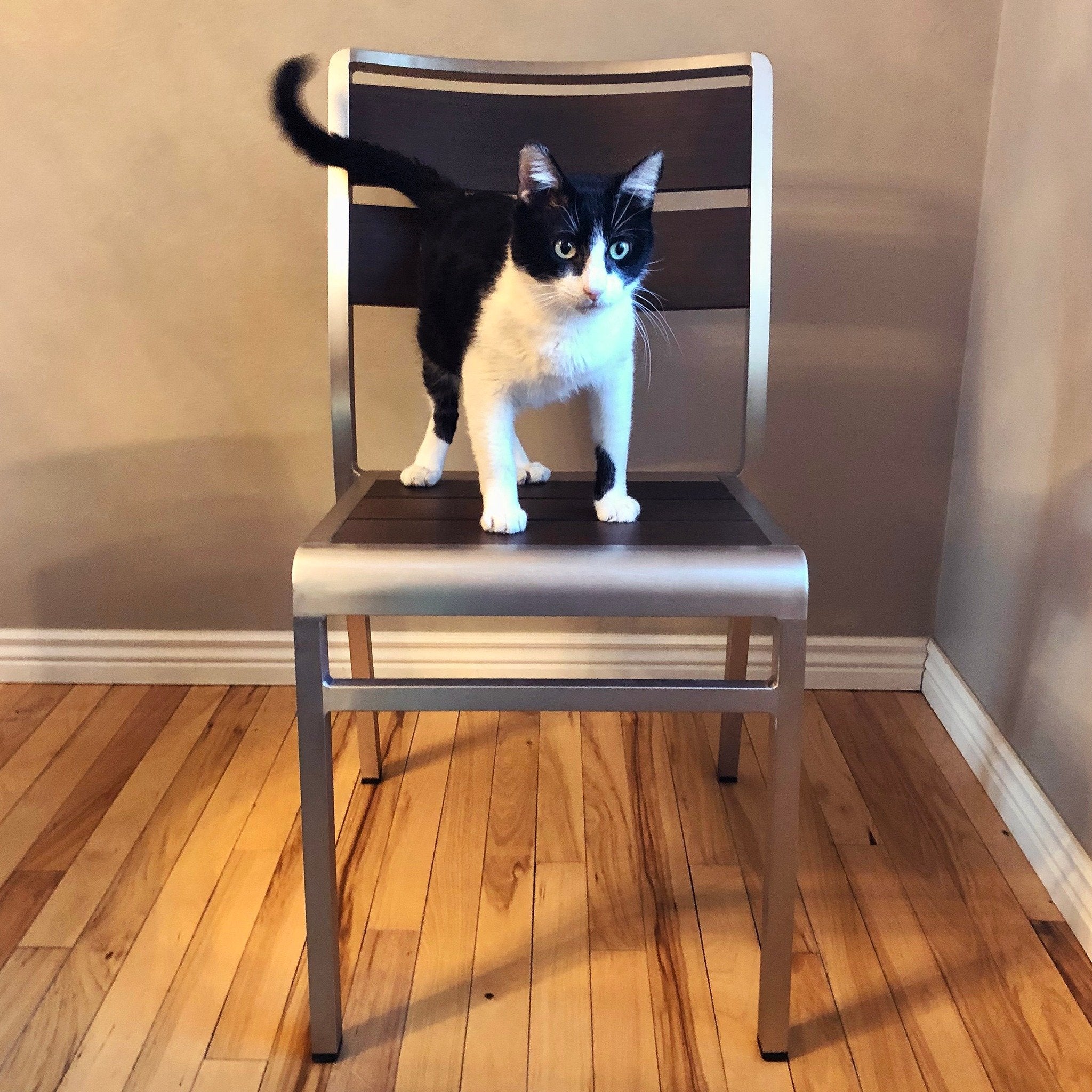 Emu Sid Dining Side Chair