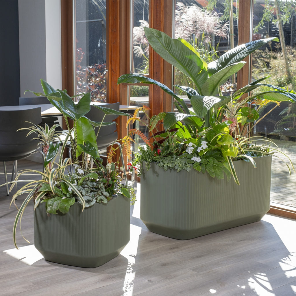 Self-Watering Planters