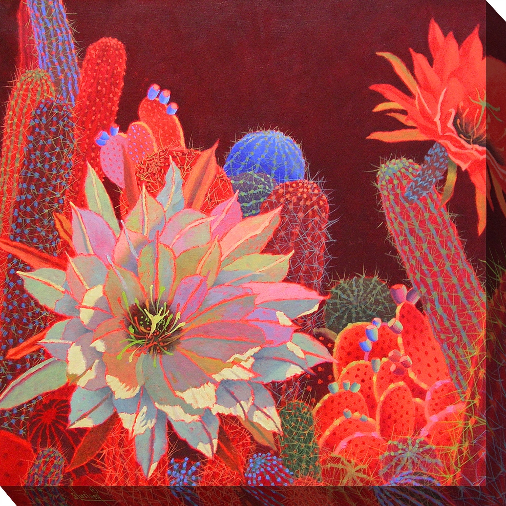 West of the Wind Outdoor Canvas 24”x24” Wall Art - Desert Red