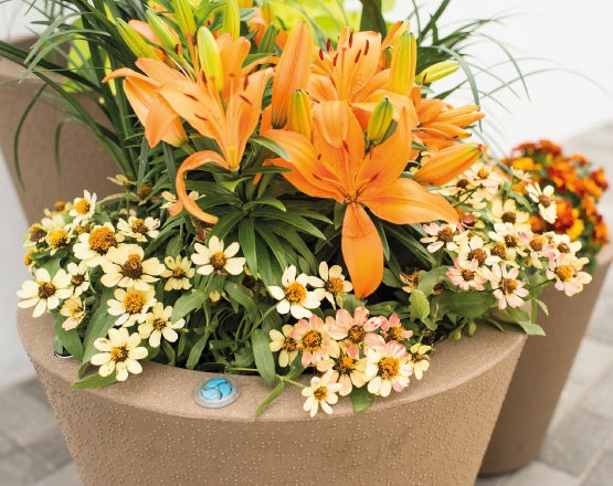 Dot Self-Watering Planter 26 inch Diameter