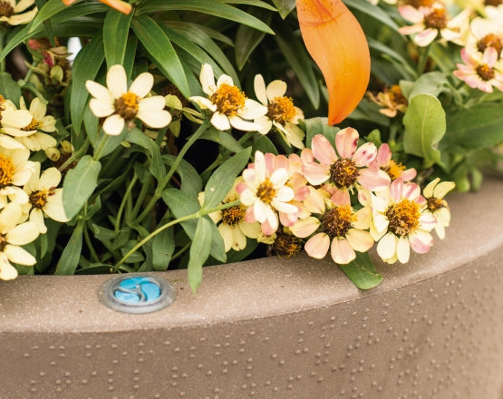 Dot Self-Watering Planter 16 inch Diameter